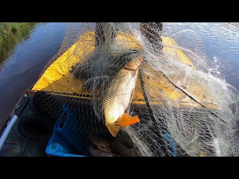 Видео: Они Чуть Не Утащили С Лодки Рыбалка На Старом Русле