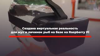Александр Шереметьев - Хайтек