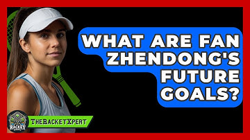 What Are Fan Zhendong