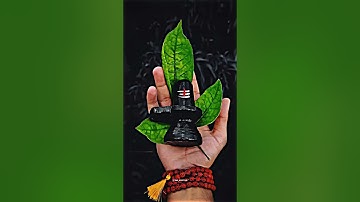 MAHADEV STATUS 🔱 MAHAKAL STATUS 🌼 BHOLENATH STATUS ❤️ #mahadev #dr_status #shorts