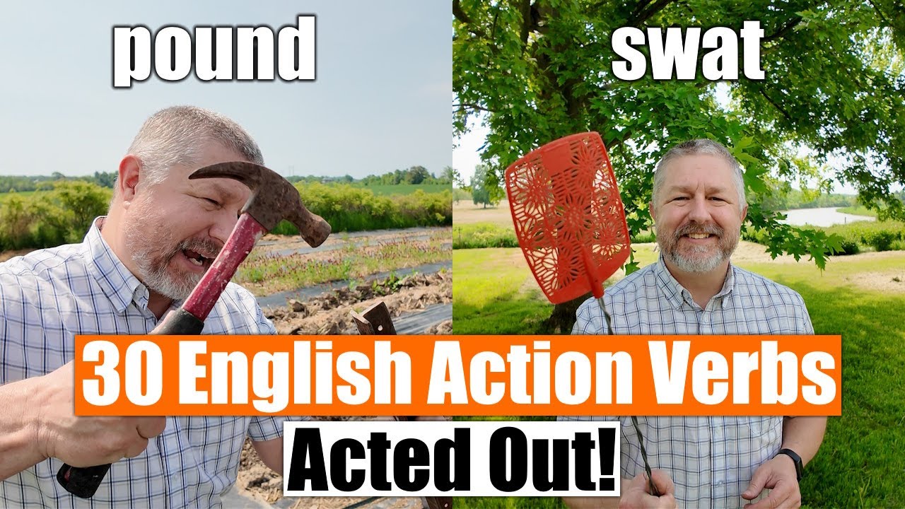 Action verbs in English with sentences | Action Verbs For Beginner Daily English | English Sentences