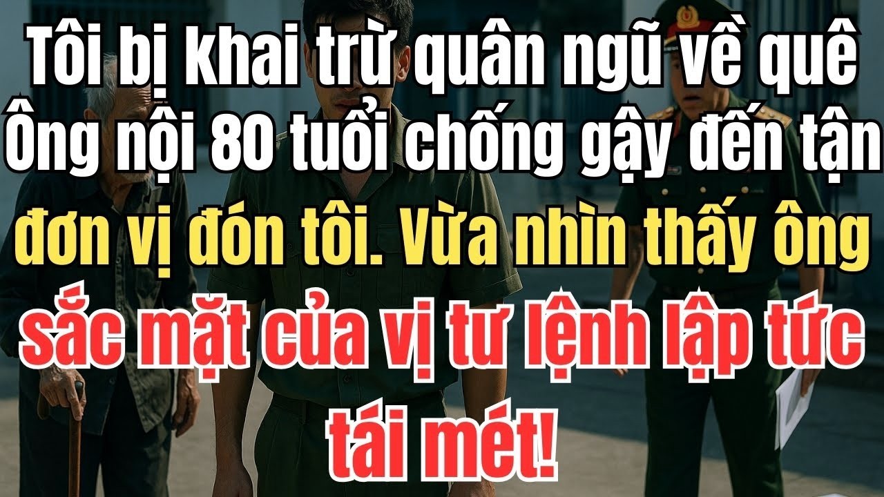 Tôi bị khai trừ quân ngũ về quê. Ông nội 80 tuổi chống gậy đến tận đơn vị đón tôi.