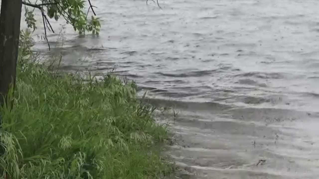 Lake Marion Water Level Update June 19, 2014 YouTube