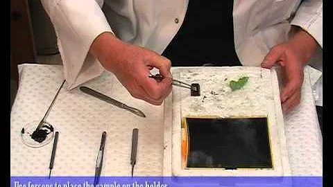 Freezing fresh tissue in cryo pre-chamber