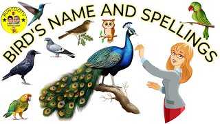 BIRDS Names and Sounds - Learn Bird Species in English #BUNTOOTV#Kids#Nurseryrhymes#preschool