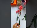 DIY Tulip Flowers From CornHusk🌷 #shorts #youtubeshorts #trending #diy #craft #tulip #flowers