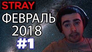 Stray - лучшее со стримов (ч.1) / февраль 2018