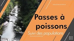 Résultats de l’étude des passes à poissons de Thun Saint Amand