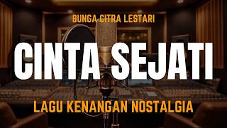 Karaoke Cinta Sejati  Bcl  Nada Rendah ost Habibie U0026 Ainun