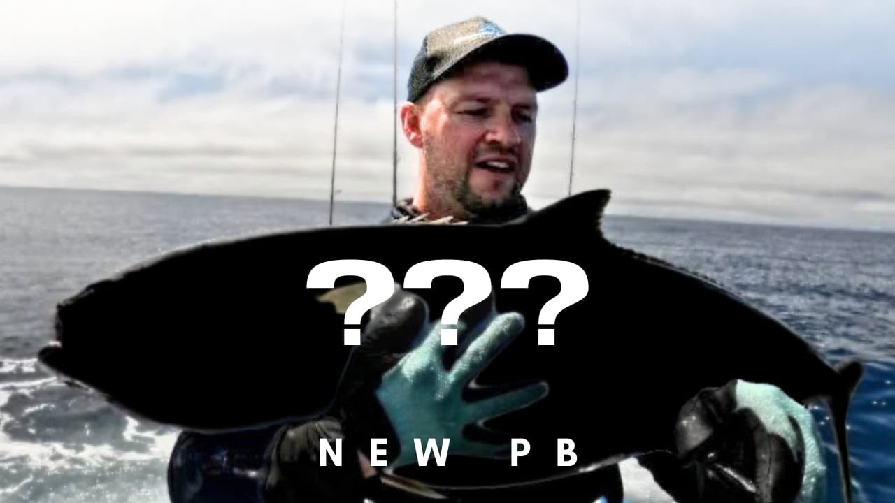 New Zealand Yellowtail KINGFISH - New PB