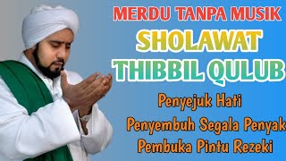 SHOLAWAT TIBBIL QULUB MERDU FULL 1 JAM TANPA MUSIK, SHOLAWAT PENYEJUK HATI PENYEMBUH SEGALA PENYAKIT