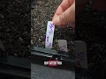 Seed Starting Tips | beginner gardener |