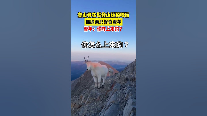 😂登山者在攀登山脉顶峰后偶遇两只好奇雪羊，雪羊：你咋上来的？#funny #搞笑 | China Origin 中国新视界