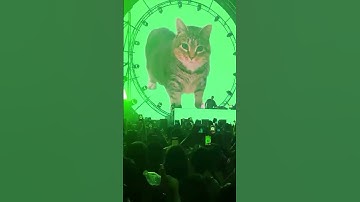 Thumbnail of Oiia Lyrics 😱 #uii #uiia #ratdance #shorts #babyduck #trending #catfunnyvideo#oia