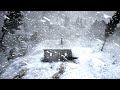 Frozen Night Howl: Silent Polar Drift & Snowfall Veil for Rest