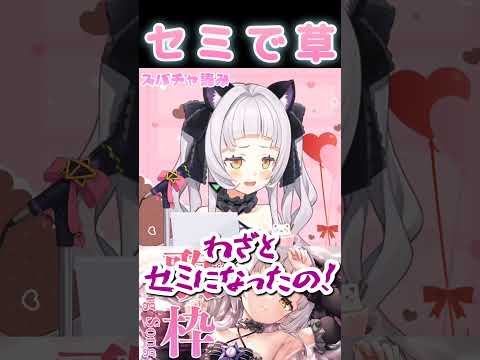 セミで草#紫咲シオン#シオン#ホロライブ#ホロライブ切り抜き