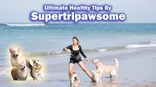 RAHASIA SEHAT SUPERTRIPAWSOME : Ultimate Healthy Tips Buat Para Anabul by Supertripawsome
