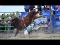 EL CIGARRITO DEL DIABLO LE FRACTURO LA COSTILLA!! JARIPEO EN LA PLAZA MEXICO DE CHICAGO