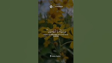 سورة التوبة تلاوة هادئة تريح القلب والنفس بصوت جميل جدا حالات واتس اب دينية قصيرة قران كريم