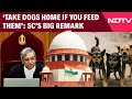 Dog Supreme Court  | SC's Big Remark: 'Take Dogs Home If You Feed Them'