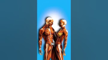 How many Cells in Human Body❓