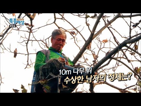 10m 나무 위 수상한 남자의 정체는? [현장르포 특종세상 395회]