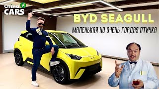 обзор на BYD Seagull. экономная и практичная электричка