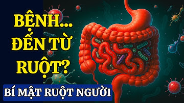Bí Mật Ruột Người: Vì Sao Bệnh Tật Bắt Đầu Từ Đường Ruột? | Sự Thật Về Hệ Vi Sinh