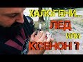 Ръчкам | Какво да изберем, LED или Ксенон (HID) за крушки на фаровете???