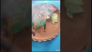 My Restaurant Stater R Dhaba