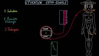 Epuration extra rénale - Dr Synapse