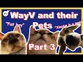 WayV and their pets being a mess | part 3