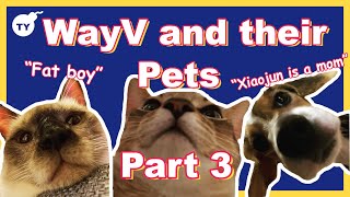 WayV and their pets being a mess | part 3