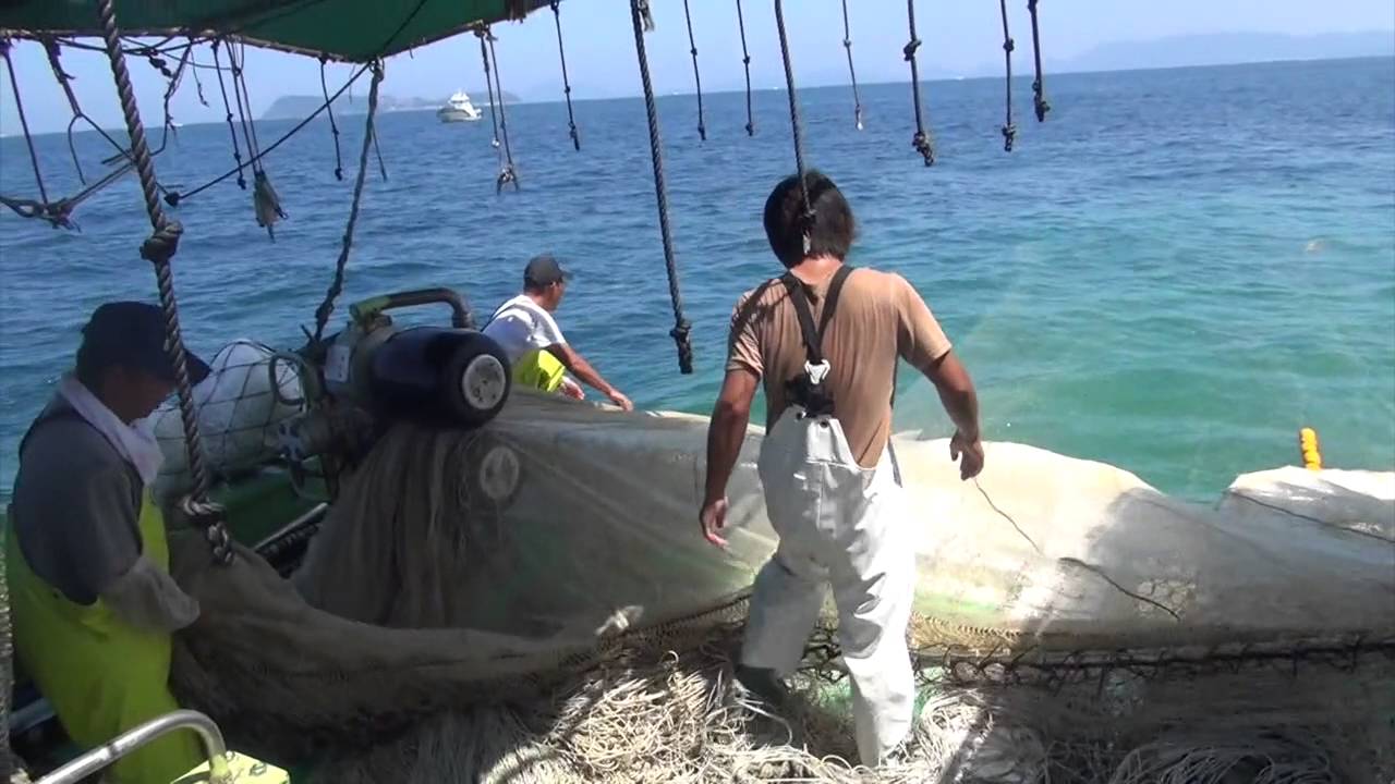 旅行の時間：伊吹島のいりこ漁　Part２（香川、日本）