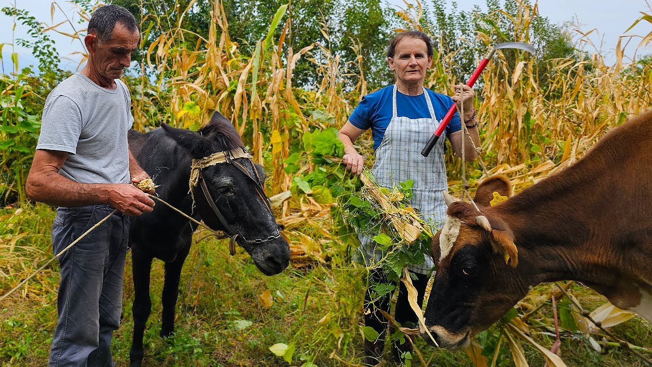 A Day in the Life of a Villager: Simple Joys and Hard Work 🌄🚜