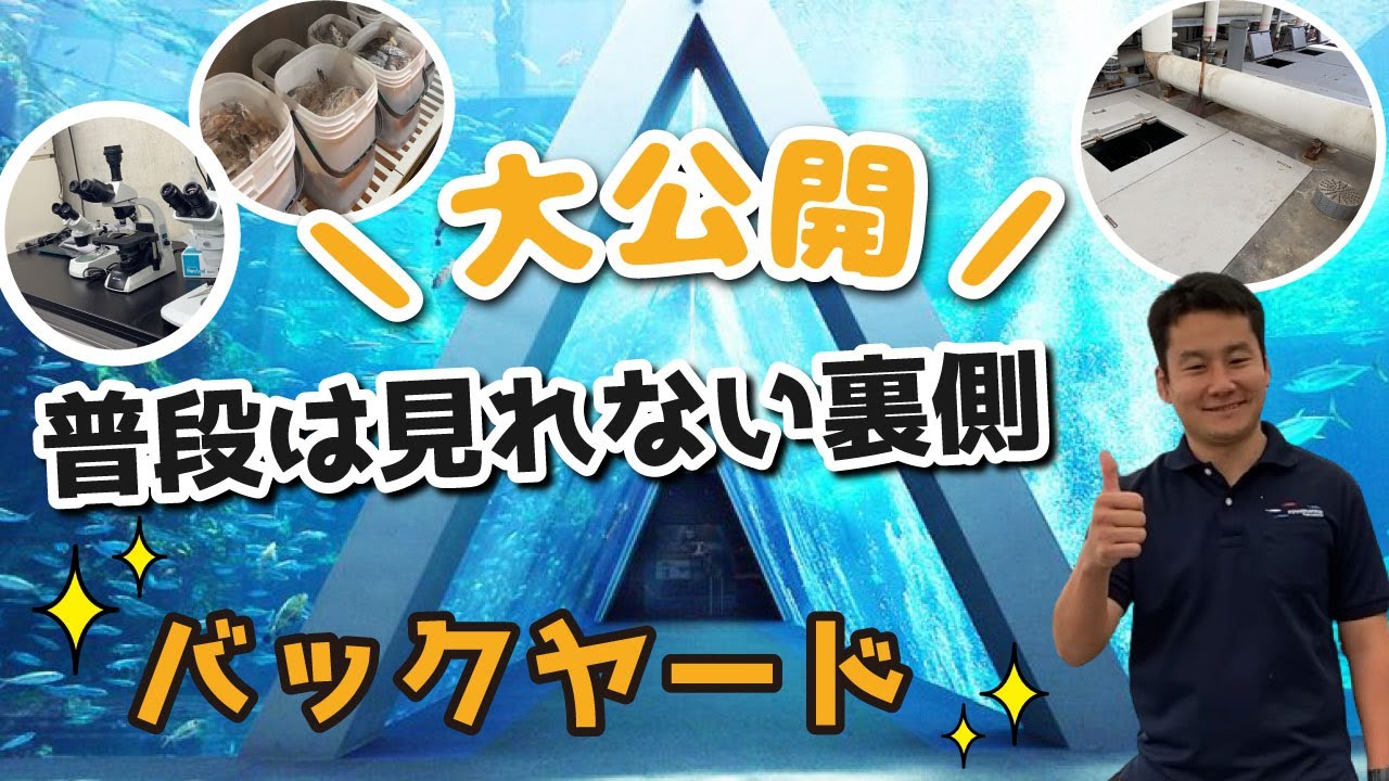 【すばる君企画】もっと！バックヤードツアー！！普段は見れない水族館の裏側を紹介！