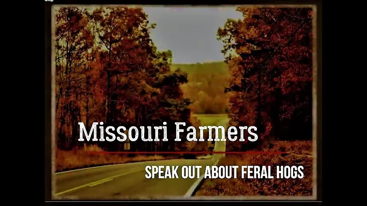 MHWDA - Missouri Farmers Speak Out About Feral Hogs