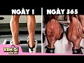 Chàng Trai chạy Không Ngừng Nghỉ trong 365 ngày và Kết Quả thật Kinh Ngạc