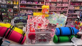 Dollar Tree Back to School Finds 2026 | Stationery and More