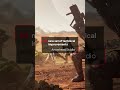 Helldivers 2 tries to win back fans 🥕