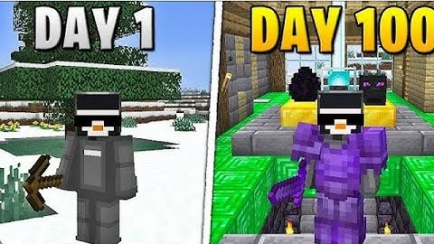 I Survived 100 Days in Minecraft Hardcore | Megatron |
