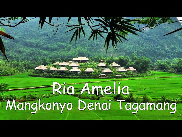 Ria Amelia - Mangkonyo Denai Tagamang (Official Lirik Video) class=