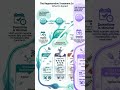 Vaginal Rejuvenation: Sessions & Minimal Downtime (PRP, Laser, RF) | Dr. Farzana Khan