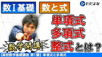 スタフリ 単項式と多項式