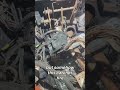 VW Wiring Nightmare: Burnt Wires &amp; ECU Damage! #shorts