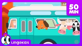 BINGO THE DOG 🐶 More Popular Songs for Kids | Lingokids