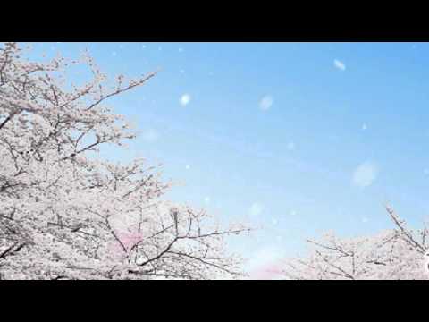 [everysing] SAKURAドロップス