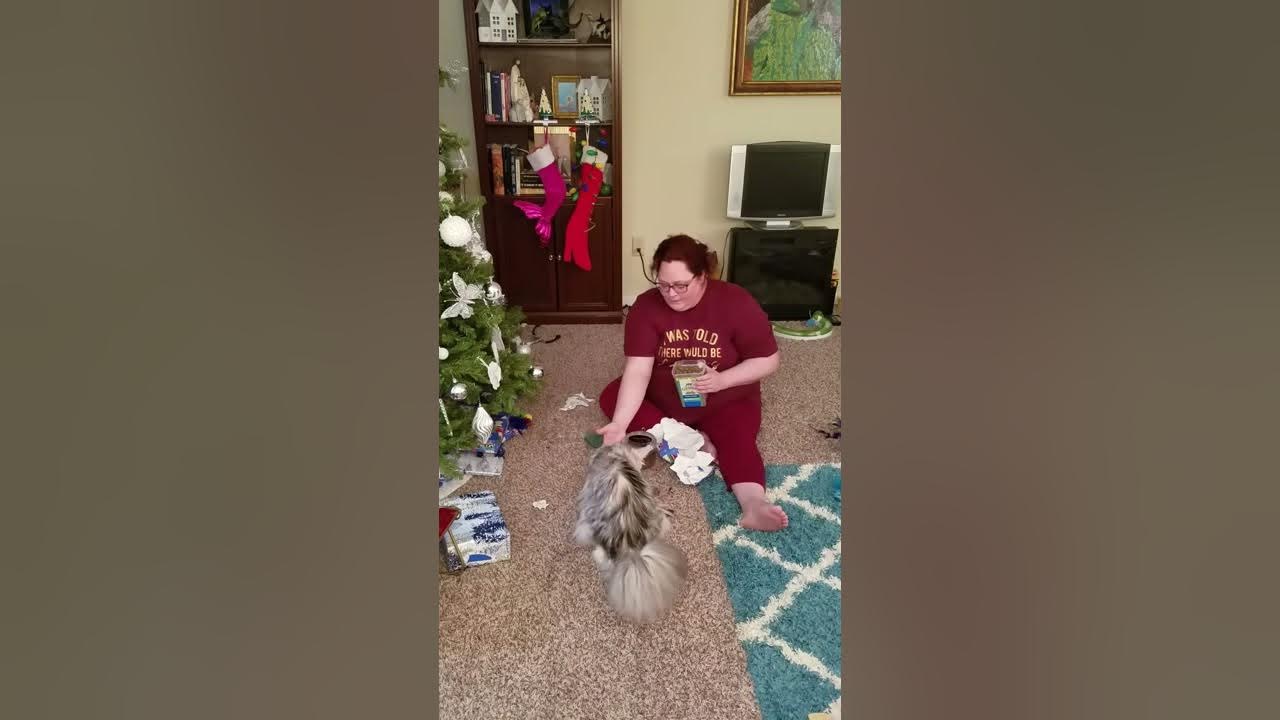 Advent Calendar Day 15 "Greenies" YouTube