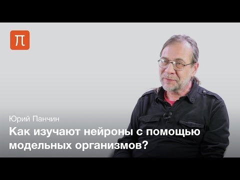 Клеточные основы поведения — Юрий Панчин