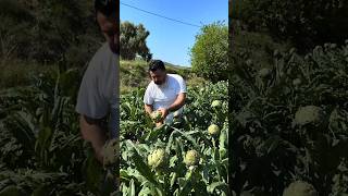 Celebrity Preparing a vegetable. Net Worth